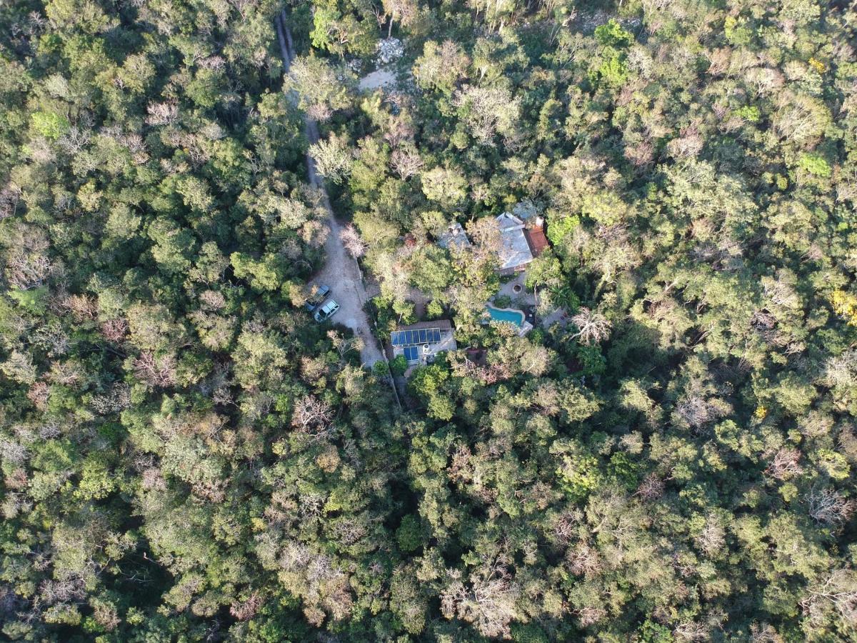 Verdeamar Eco Lodge Jungle Retreat Chemuyil エクステリア 写真