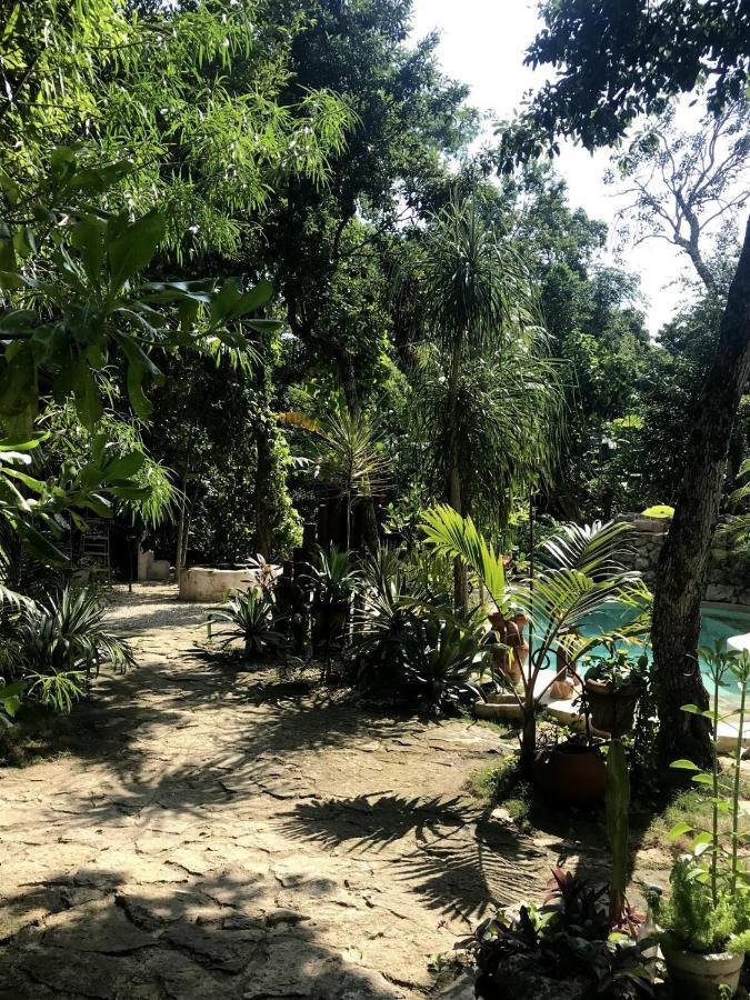 Verdeamar Eco Lodge Jungle Retreat Chemuyil エクステリア 写真